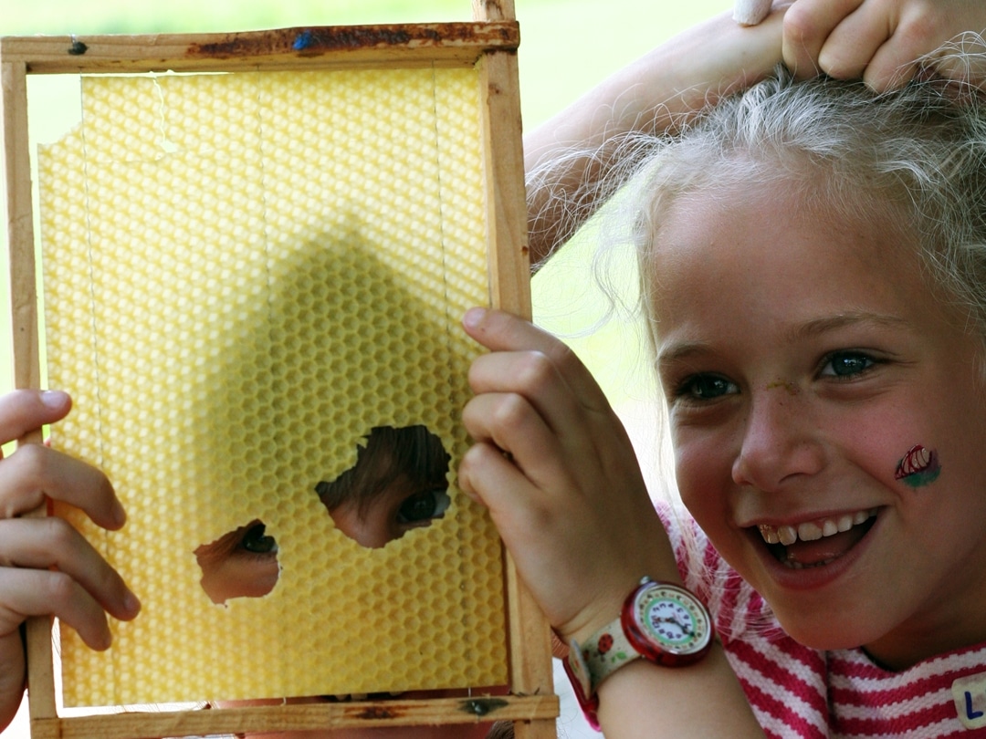 Kinder schauen durch eine Bienenwabe