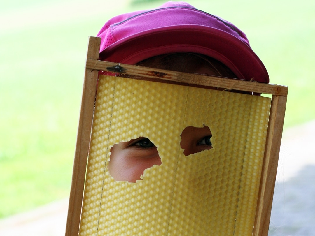 Kinderaugen durch eine Bienenwabe